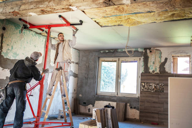 Best DIY Insulation Kits and Guidance in Middlebush, NJ