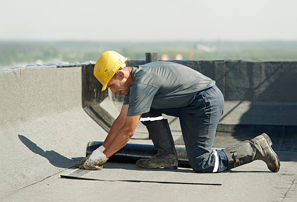 Best Cellulose Insulation in Middlebush, NJ