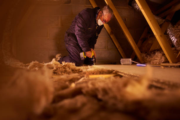 Best Insulation Maintenance and Repair in Middlebush, NJ